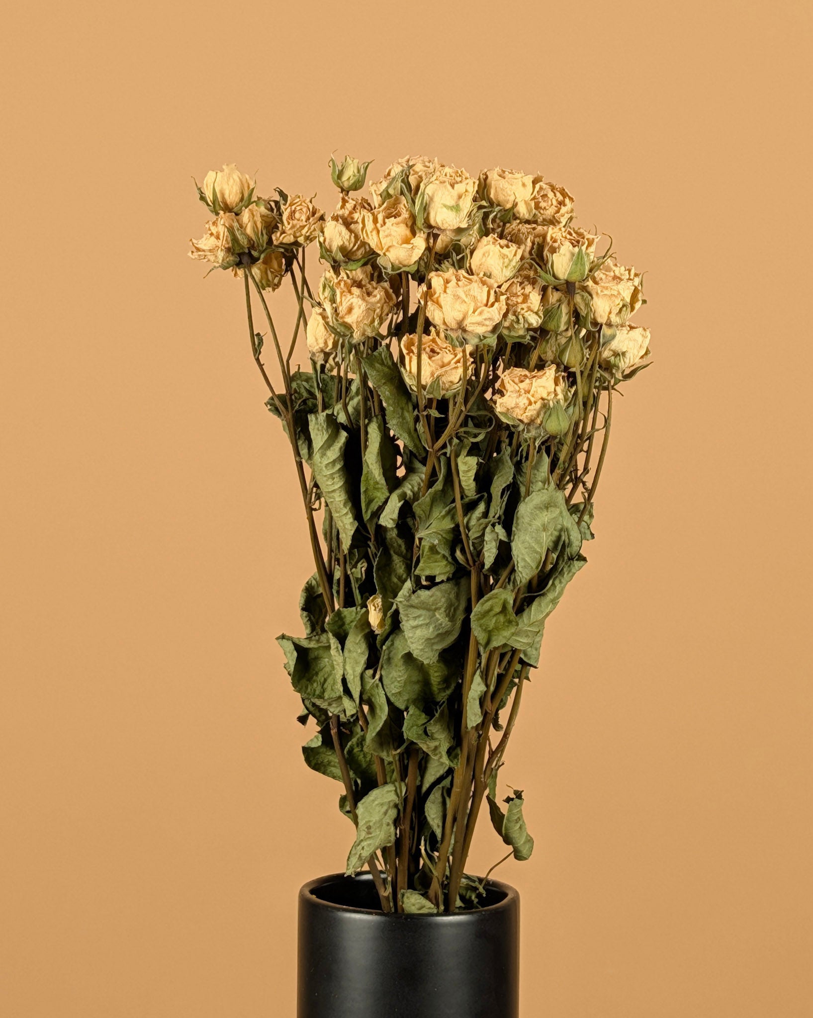 Gedroogde trosroosjes – wit