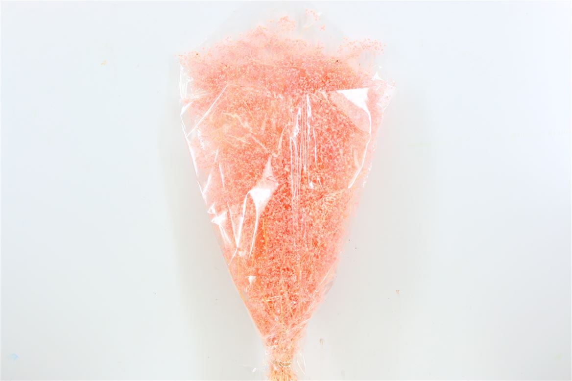 Mini gypsophila light pink preserved (gypsum)