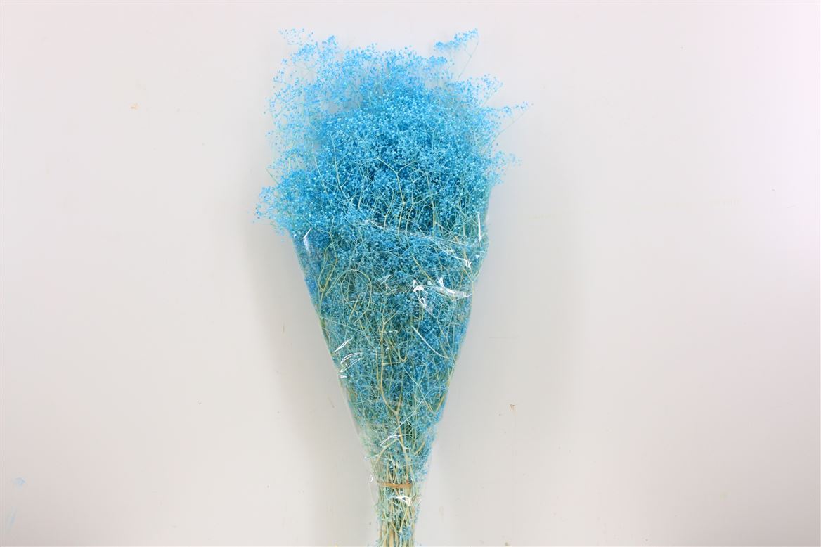 Mini gypsophila blue preserved (gypsum)