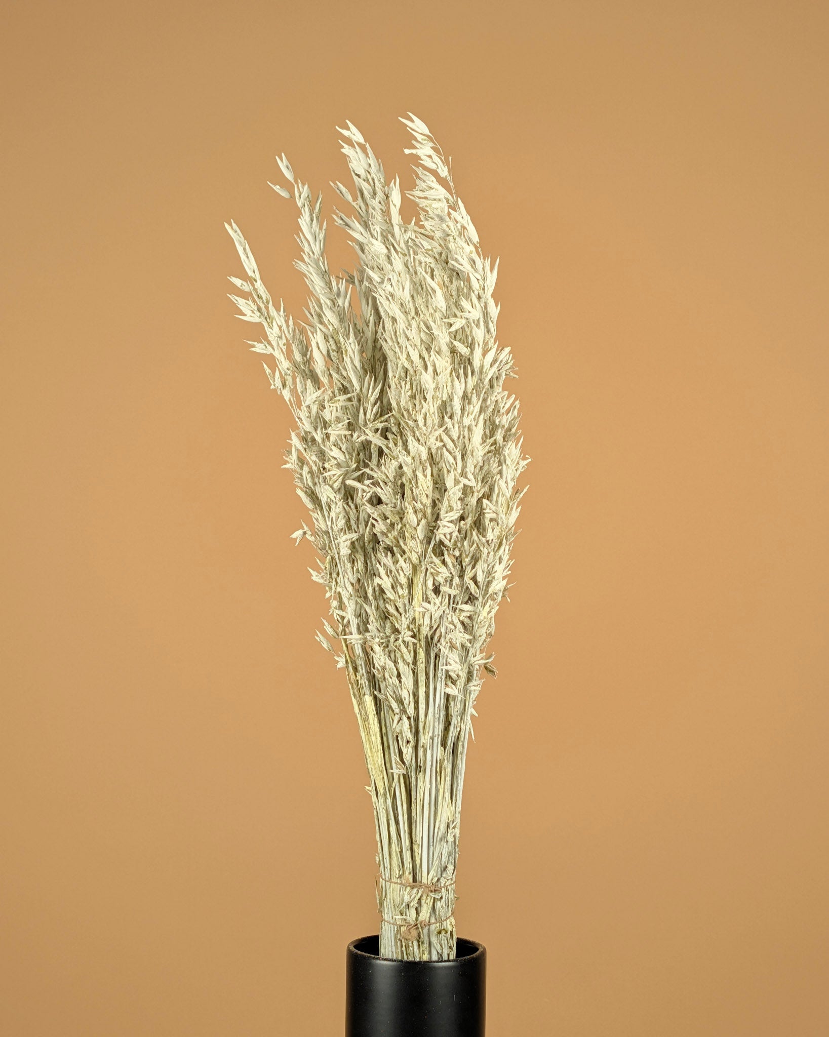 Gedroogde haver (avena) – white wash