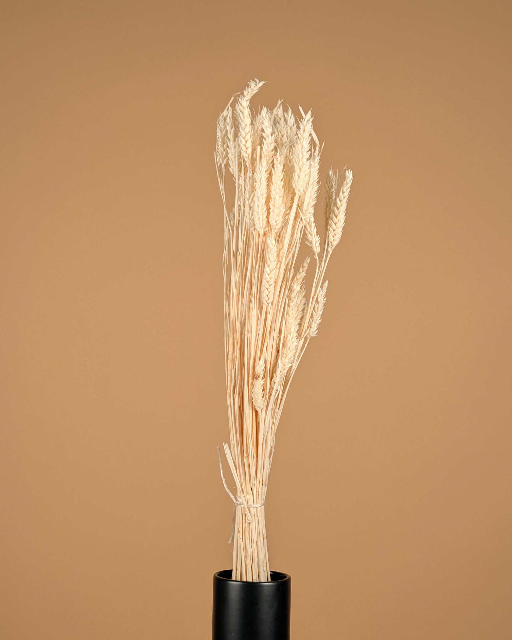 Dried wheat bleached
