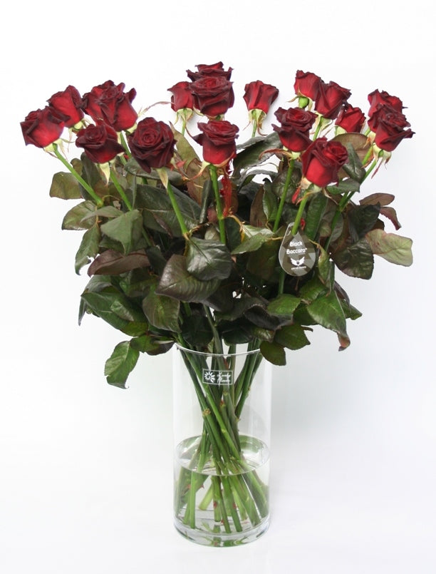 Schwarze Rosenstrauß von langen großen Rosen