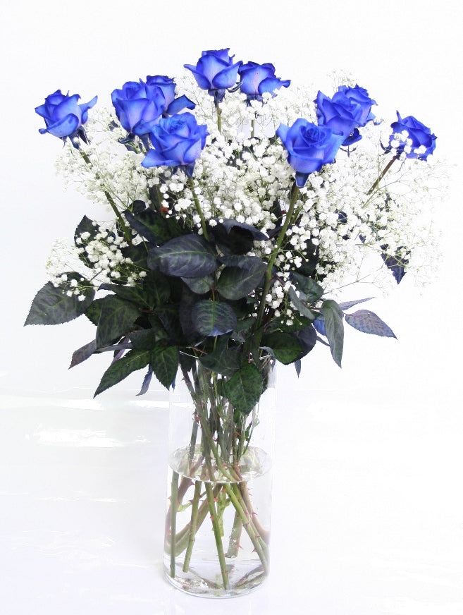 Blaue Rosenstrauß von 10 Rosen mit Gypsophilen Weiß