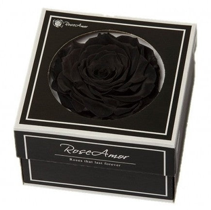 Rose noire conservée dans une boîte cadeau