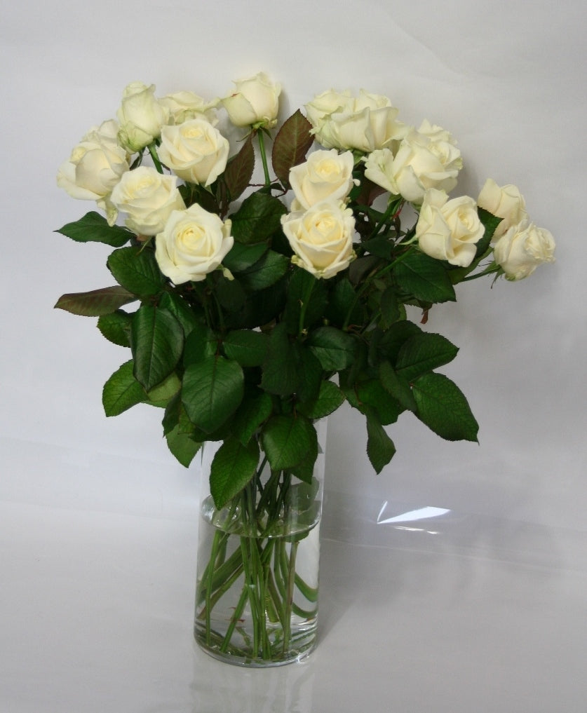 White rose bouquet of large -flowered cream white roses