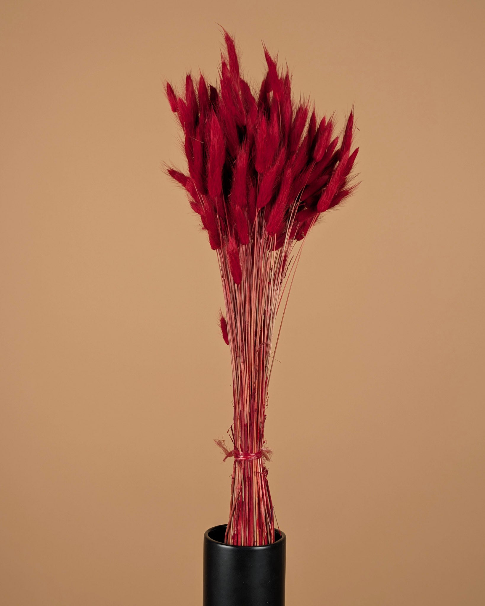 Botao Botton Dark blue dried