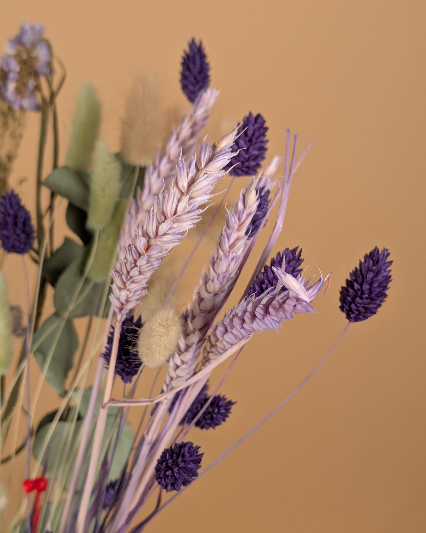 Trockenstrauß wirklich geliebt