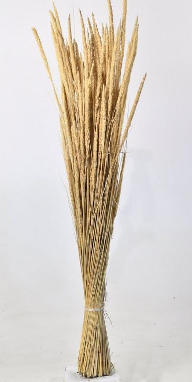 Helmfedern 110 cm 500 Gramm