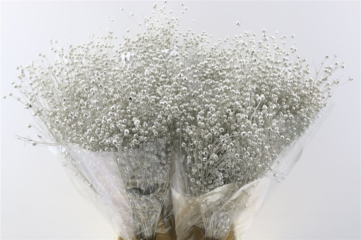 Lino VLAS séché 150 grammes