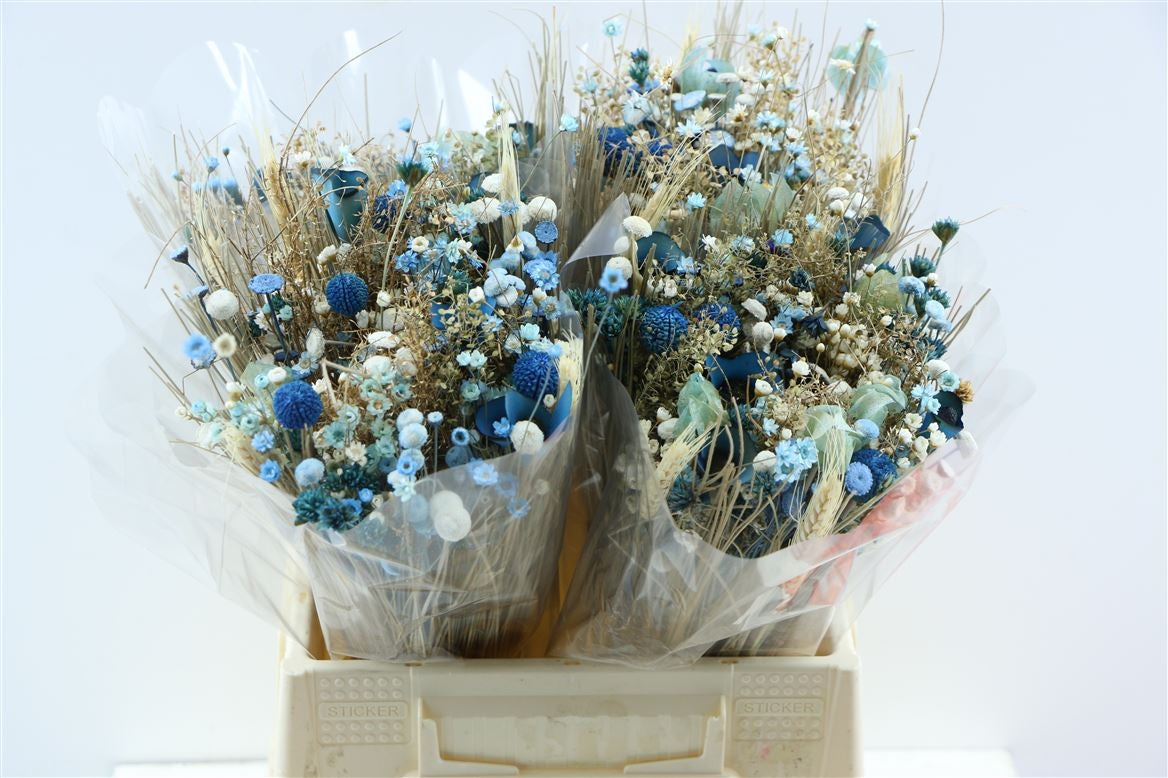Dried bouquet fanasia light blue