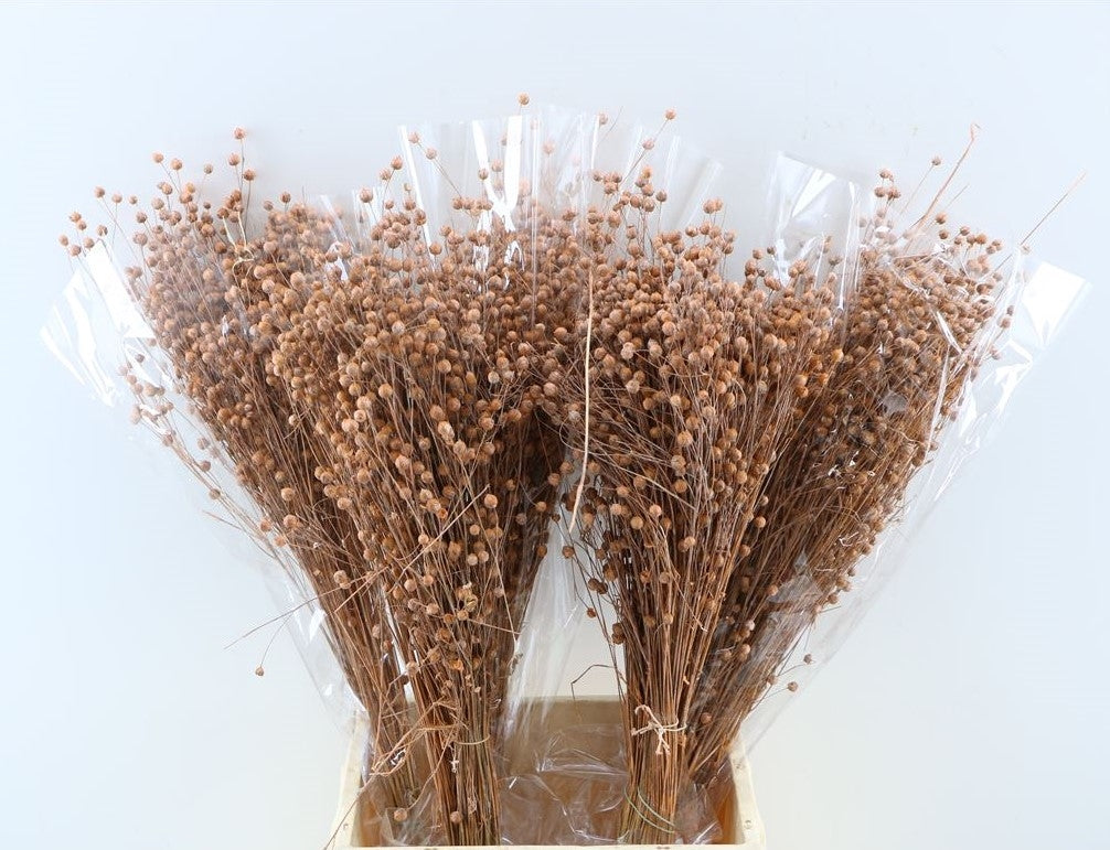 Dried Lino Flax Salmon 100 grams