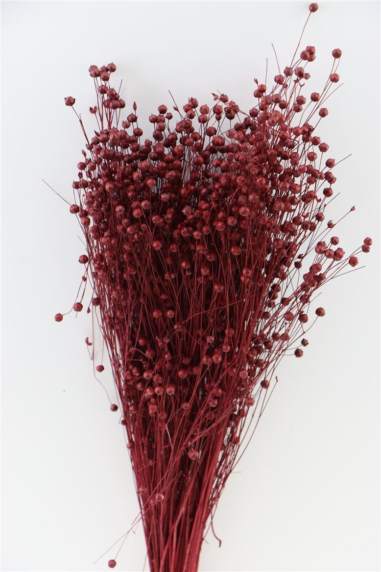 Getrocknete Lino Vlas Bordeaux Red 100 Gramm
