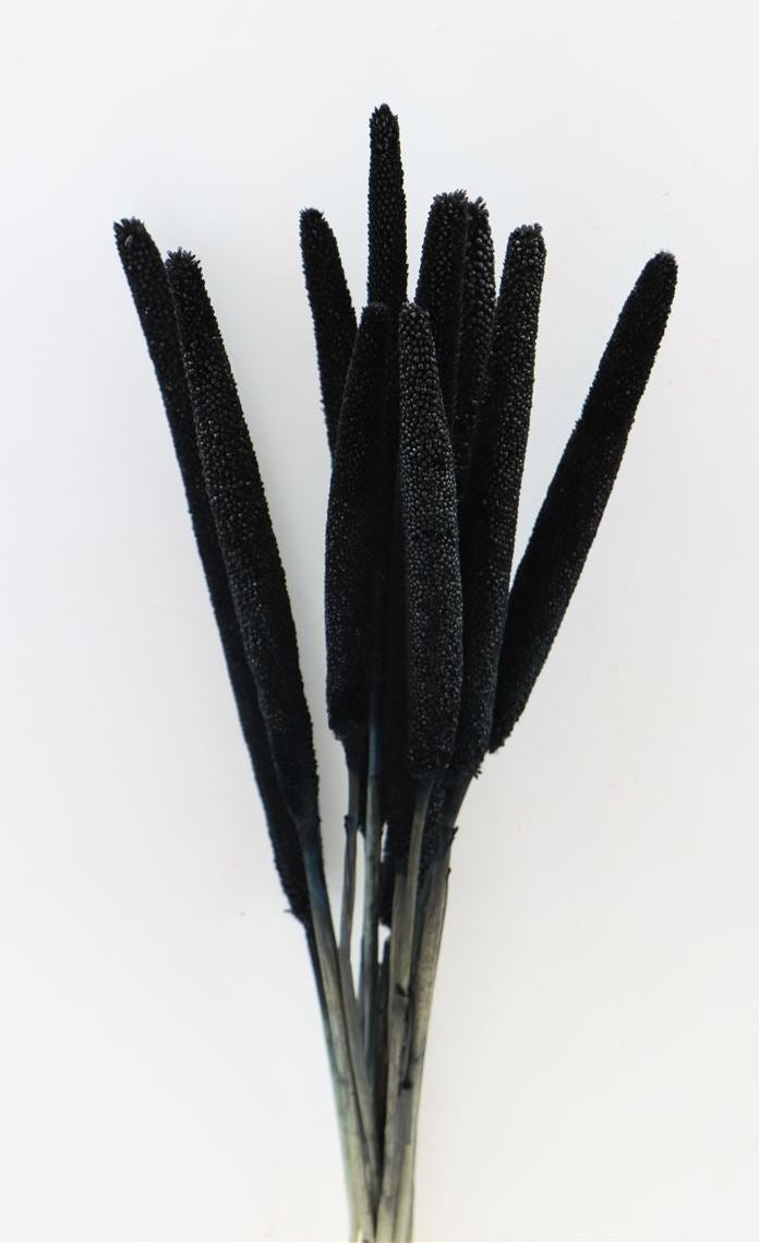 Gedroogde babala – zwart