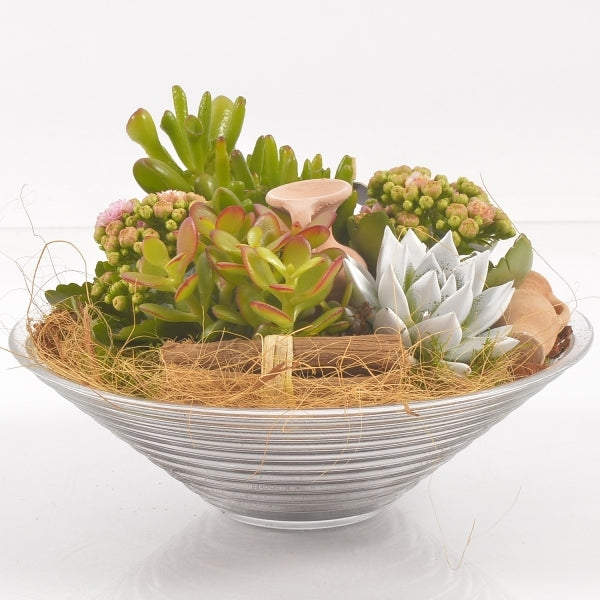 Plat en verre fait