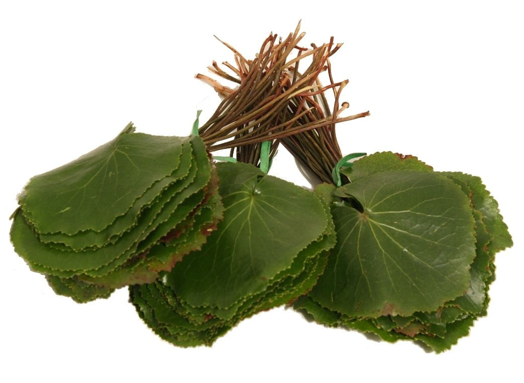 Haufen Galexblätter