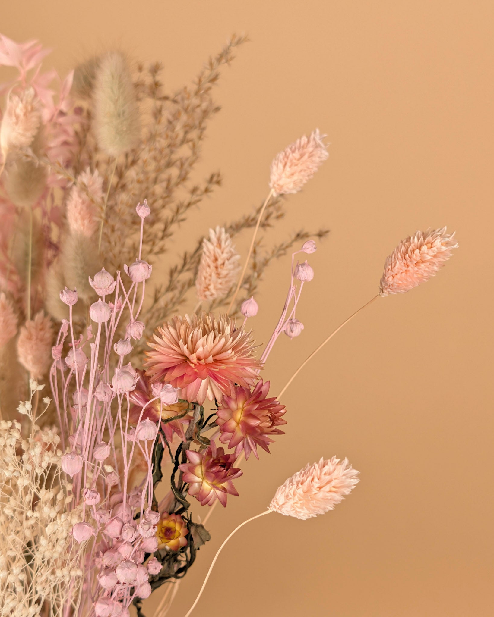 Trockener Bouquet Erröten