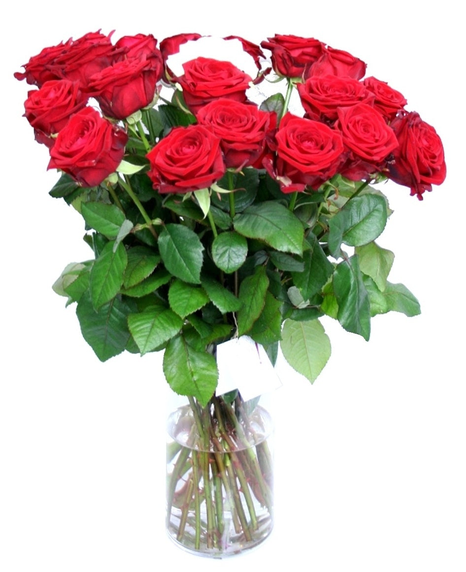 Bouquet of long large -flowered red roses for the birthday boy