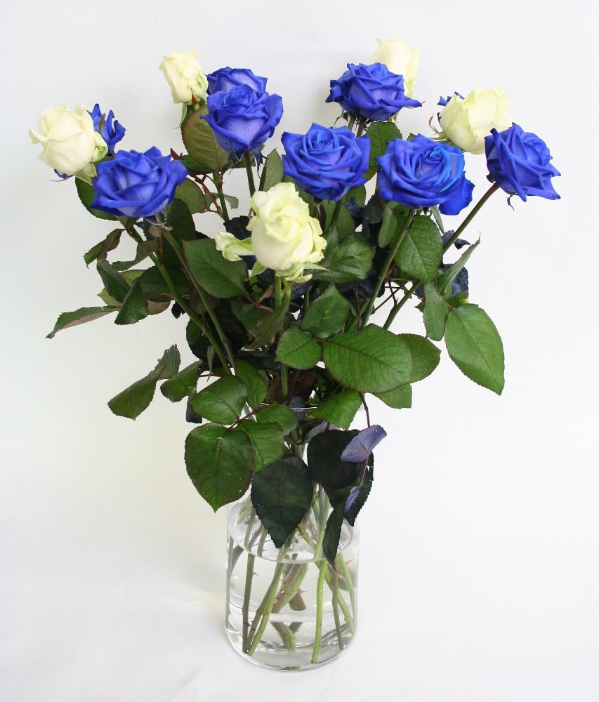 Roses Bouquet de roses bleues avec des roses blanches