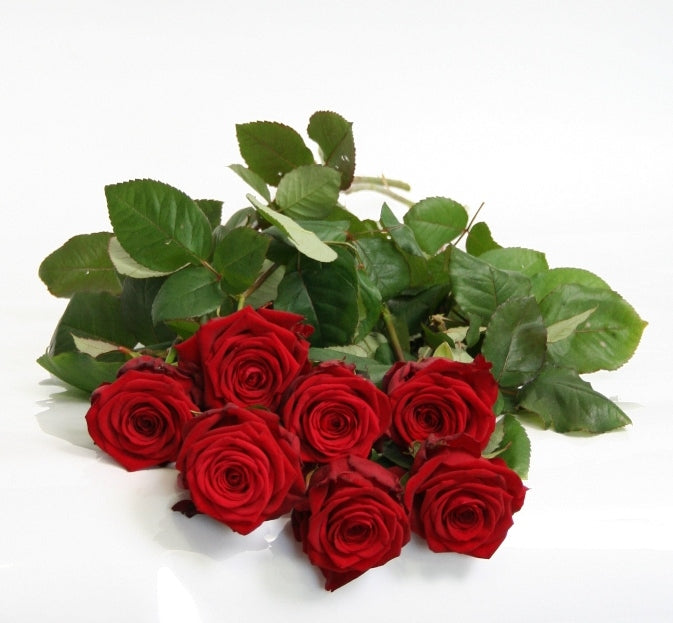 Roses longues longues à fleurs à partir de 10 roses