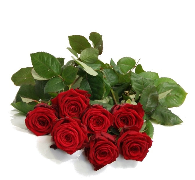 Loose medium -flowered roses from 10 roses