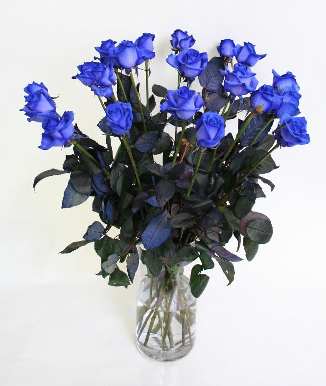 Roses Bouquet de roses bleu moyen