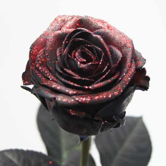 Roses Bouquet de grandes roses noires brillantes à flux