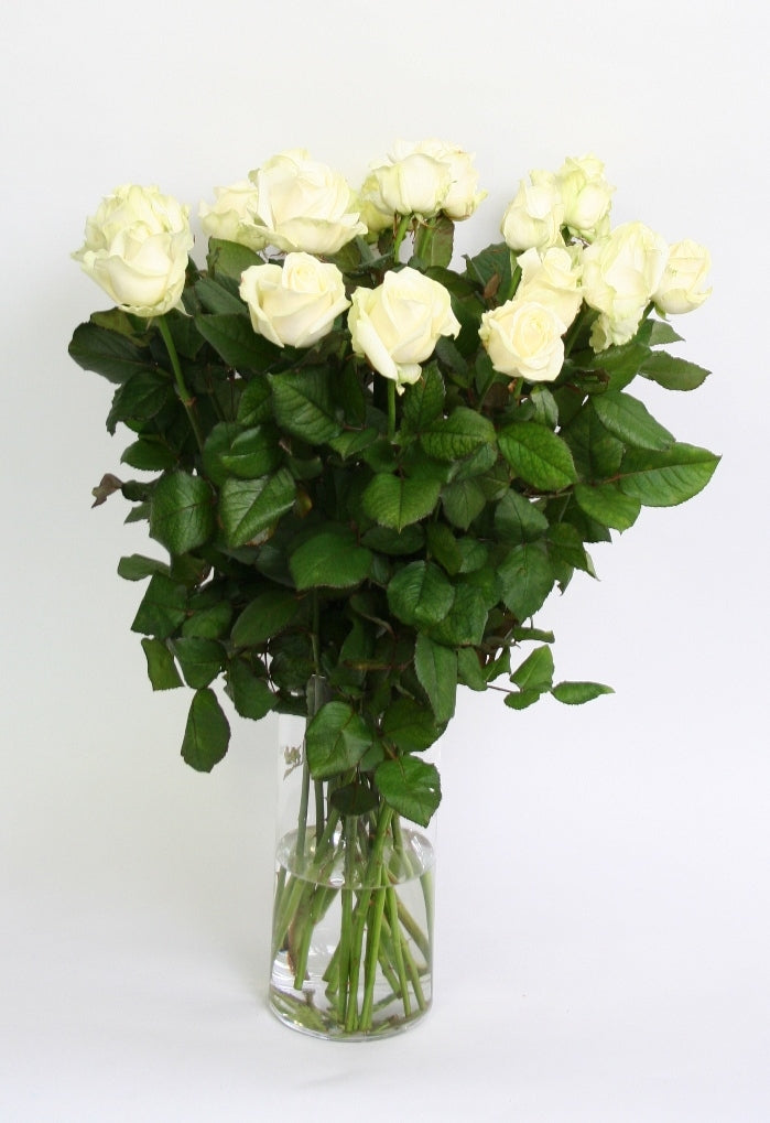 Roses bouquet of 10 long large -flowered cream white roses
