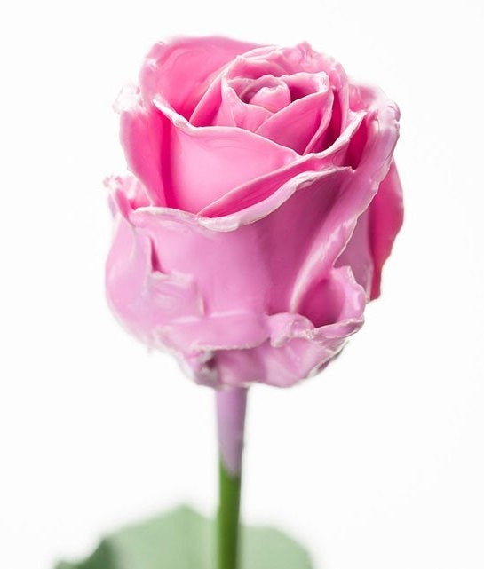 Bouquet de rose de cire rose