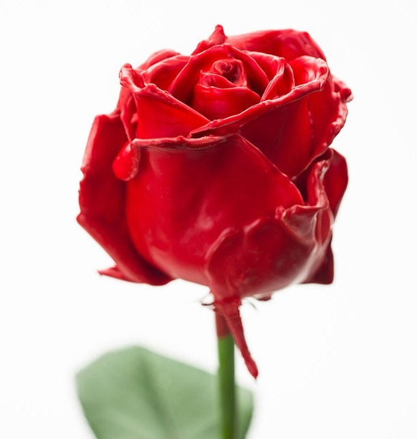 Bouquet de roses de cire rouge