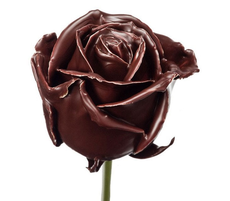 Bouquet de rose cire brun