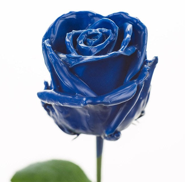 Bouquet de roses de cire bleu foncé