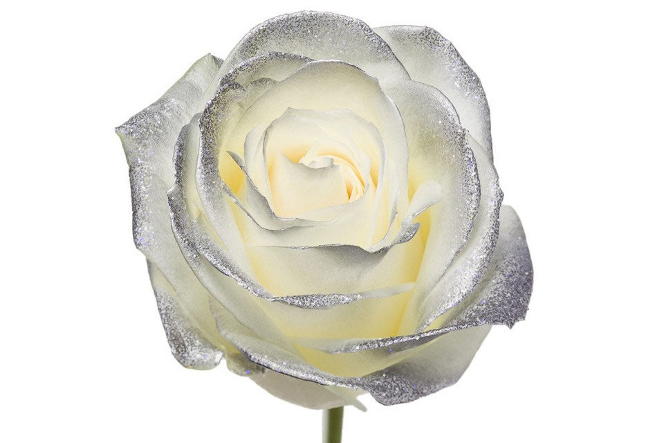 Bouquet de longues roses blanches avec des blos d&