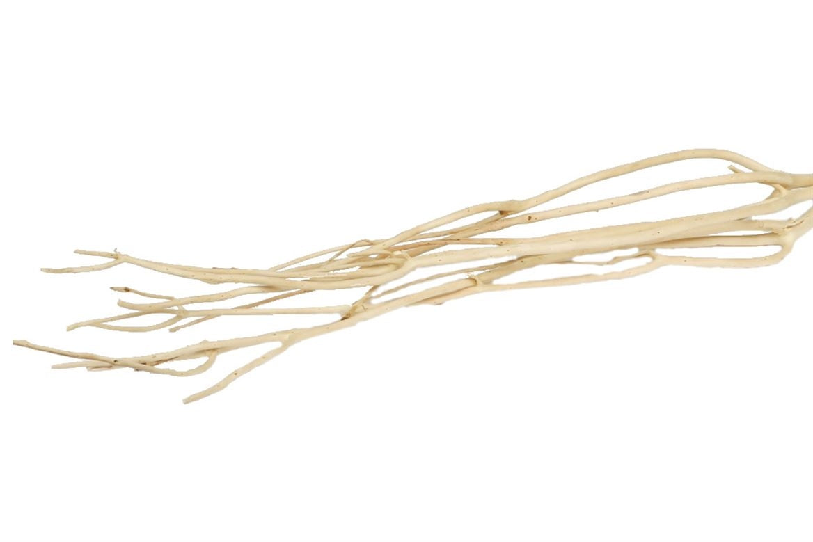 Mitsumata Flock blanchi par 3 branches