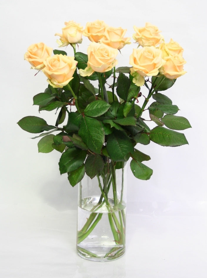 Roses bouquet of 10 long large -flowered peach roses