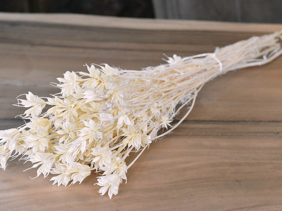 Nigella Orientalis bleached 100gr.