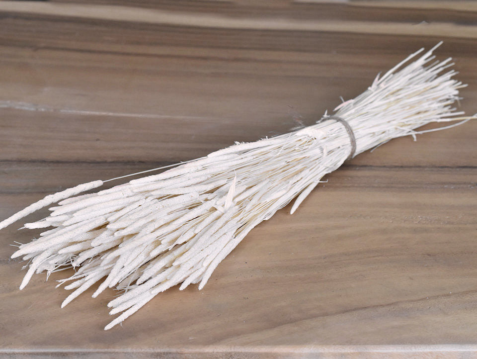 Le phleum a blanchi 100gr.