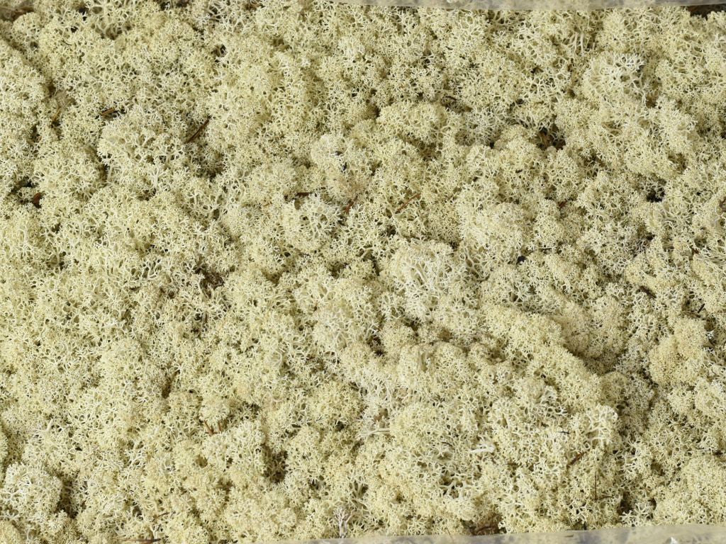 Rendremos naturel par kg