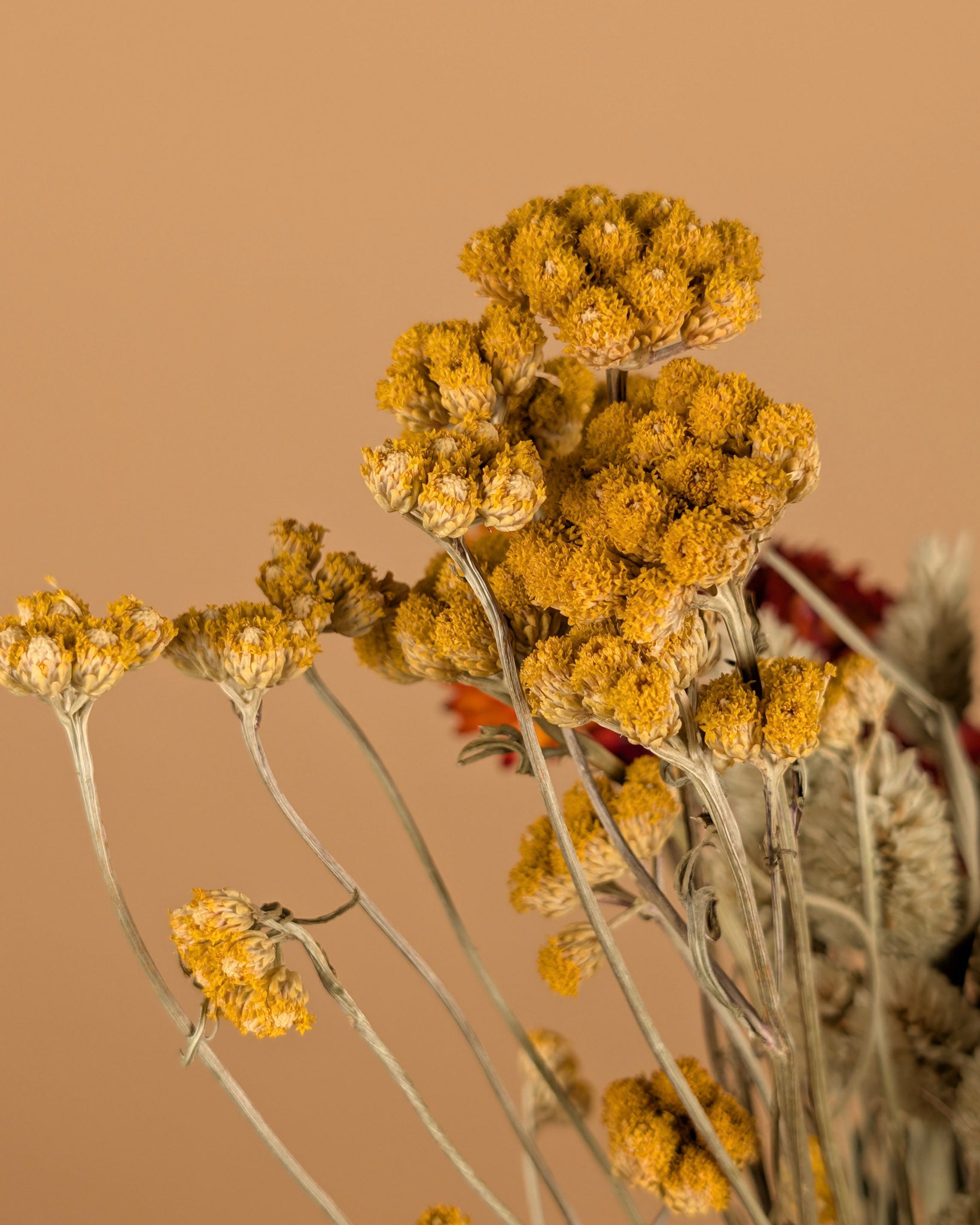 Droogboeket Colorful