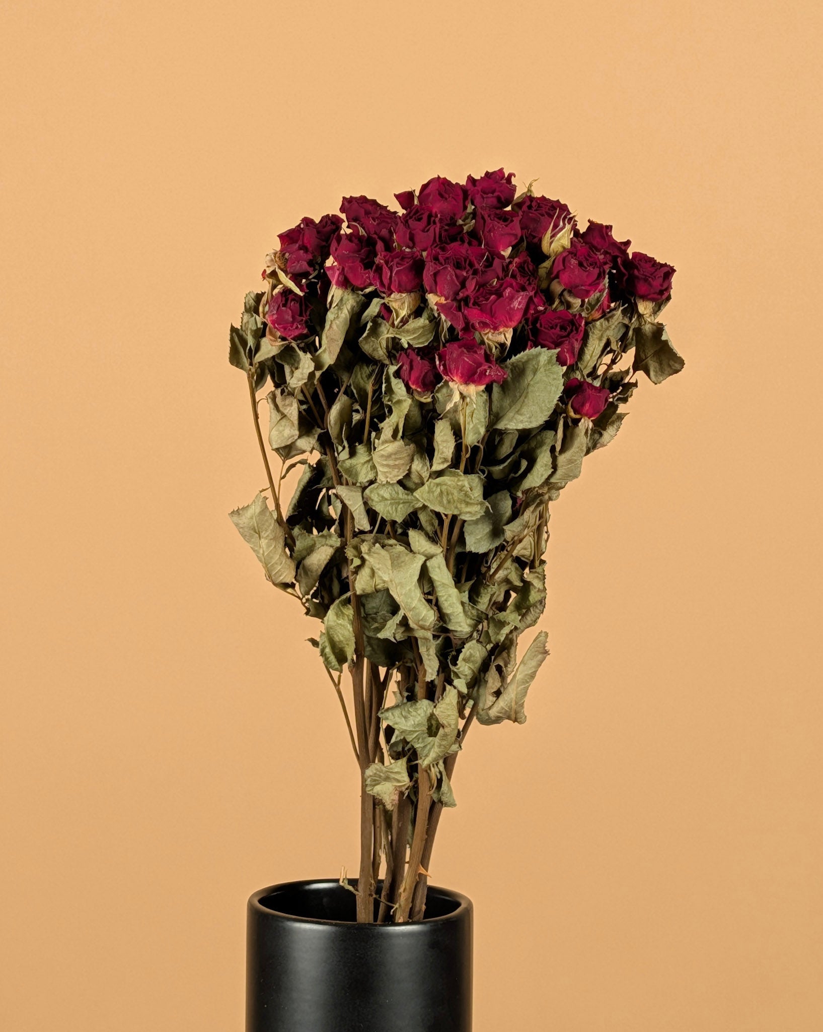 Roses rouges foncées séchées