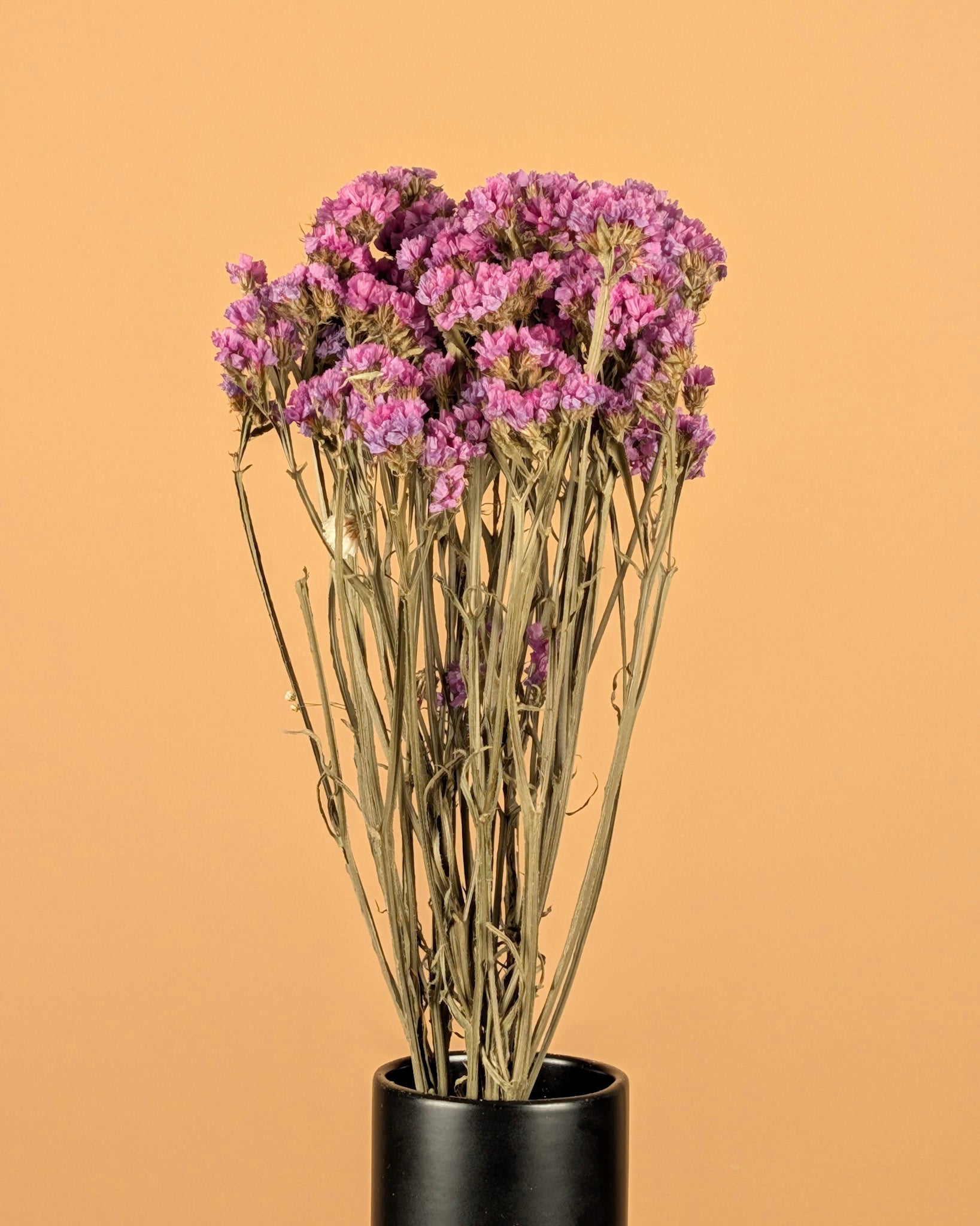 Getrocknete Statistik Lila