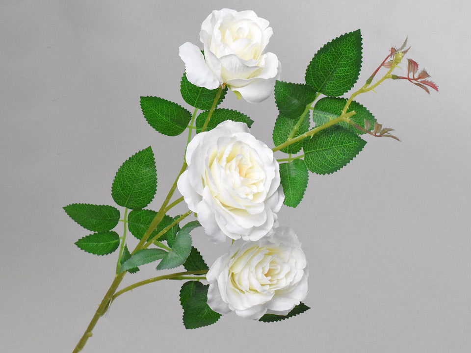 Art wanted rose cream 80cm