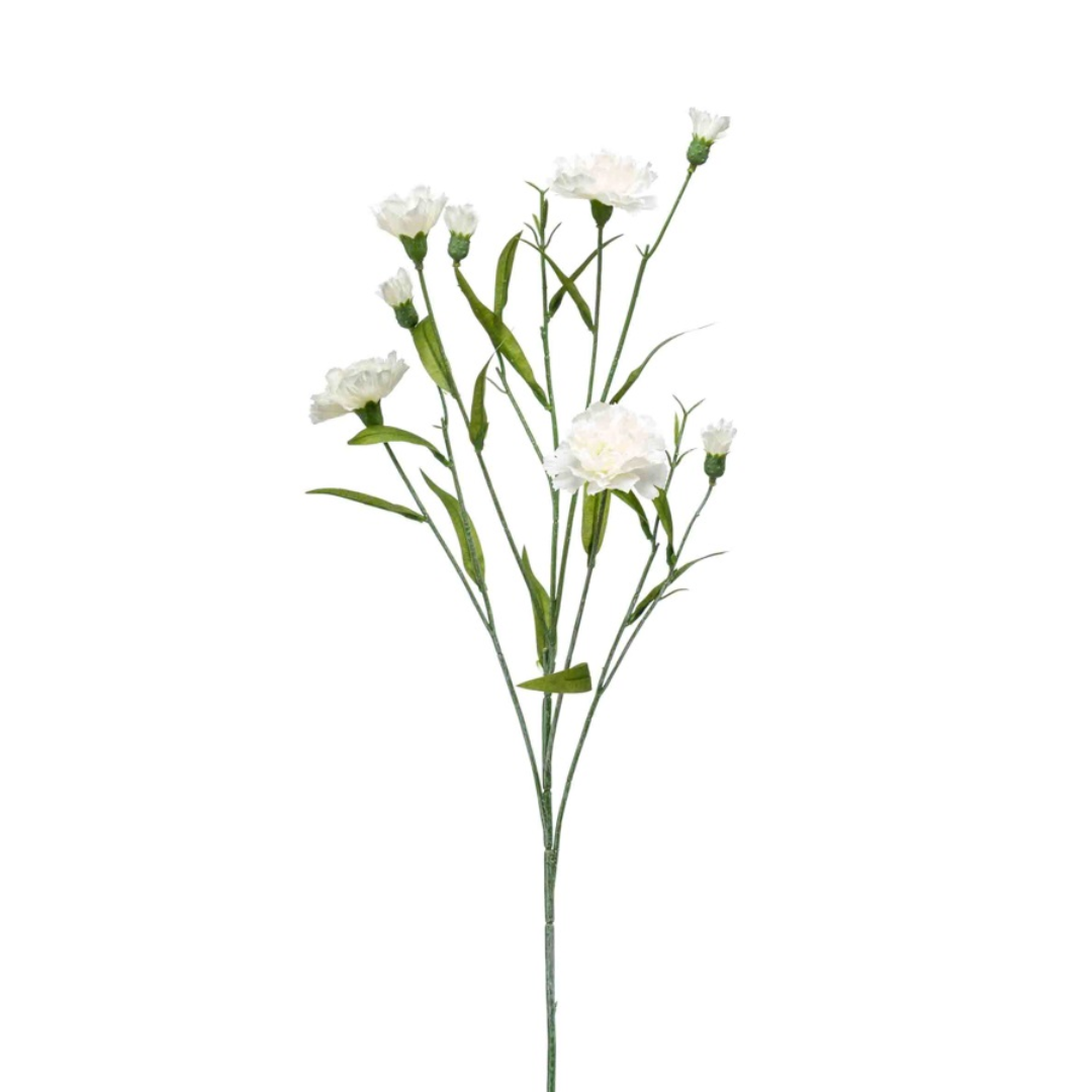 Zijde Dianthus – Crème (70 cm)