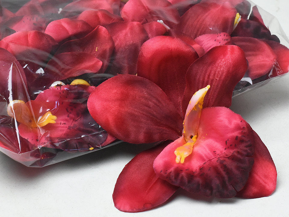 Orchid dark red D13cm