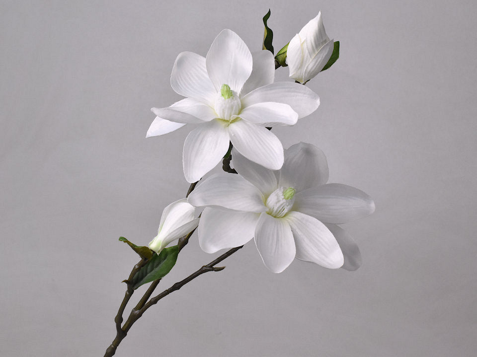 Magnoliat Branch blanc 75 cm