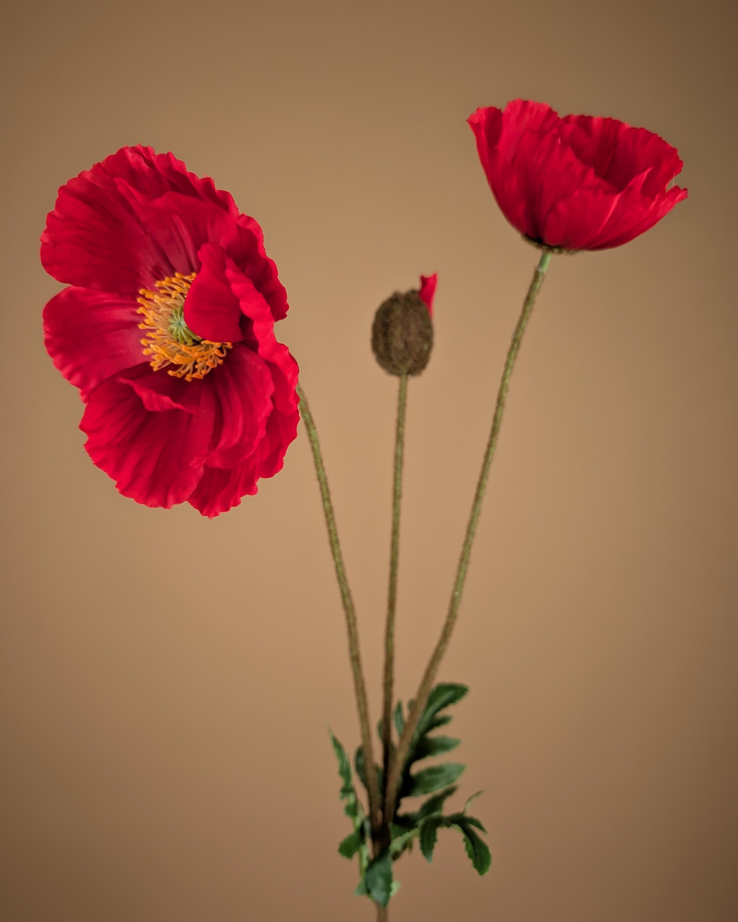 Branche de pavot en soie – Pavot rouge (75 cm)