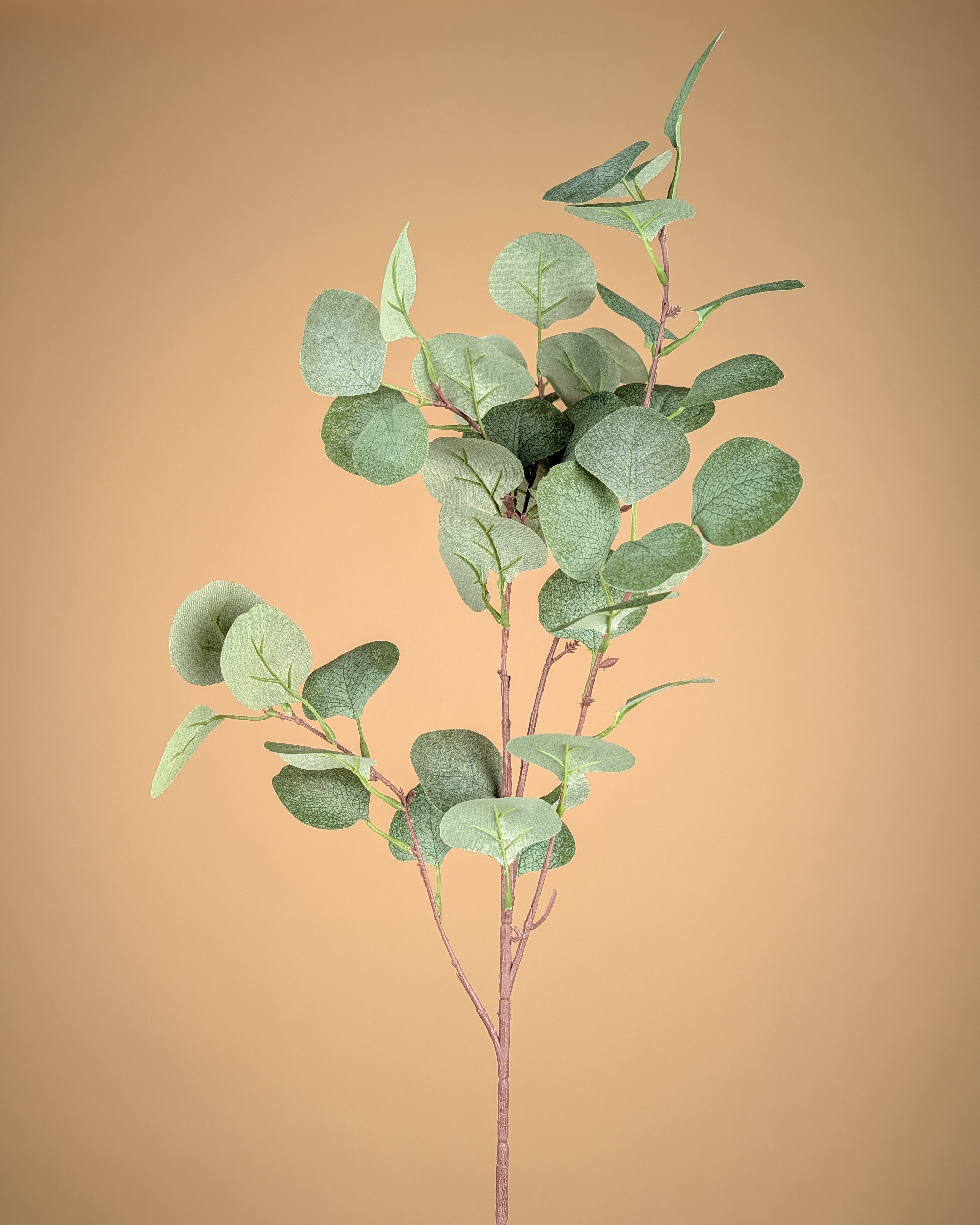 Eucalyptus soyeux – Vert/Gris (68 cm)