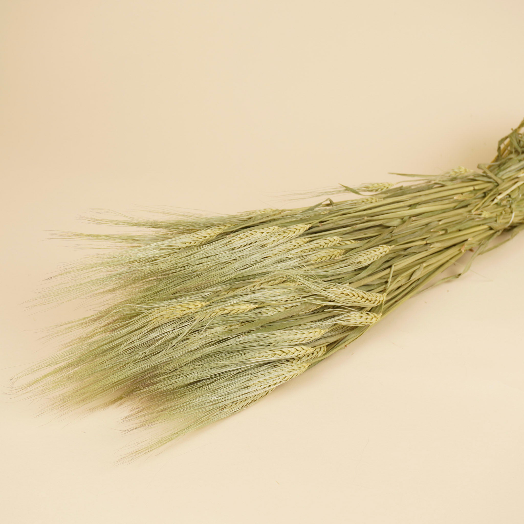 Dried Barley Naturel (Barley)