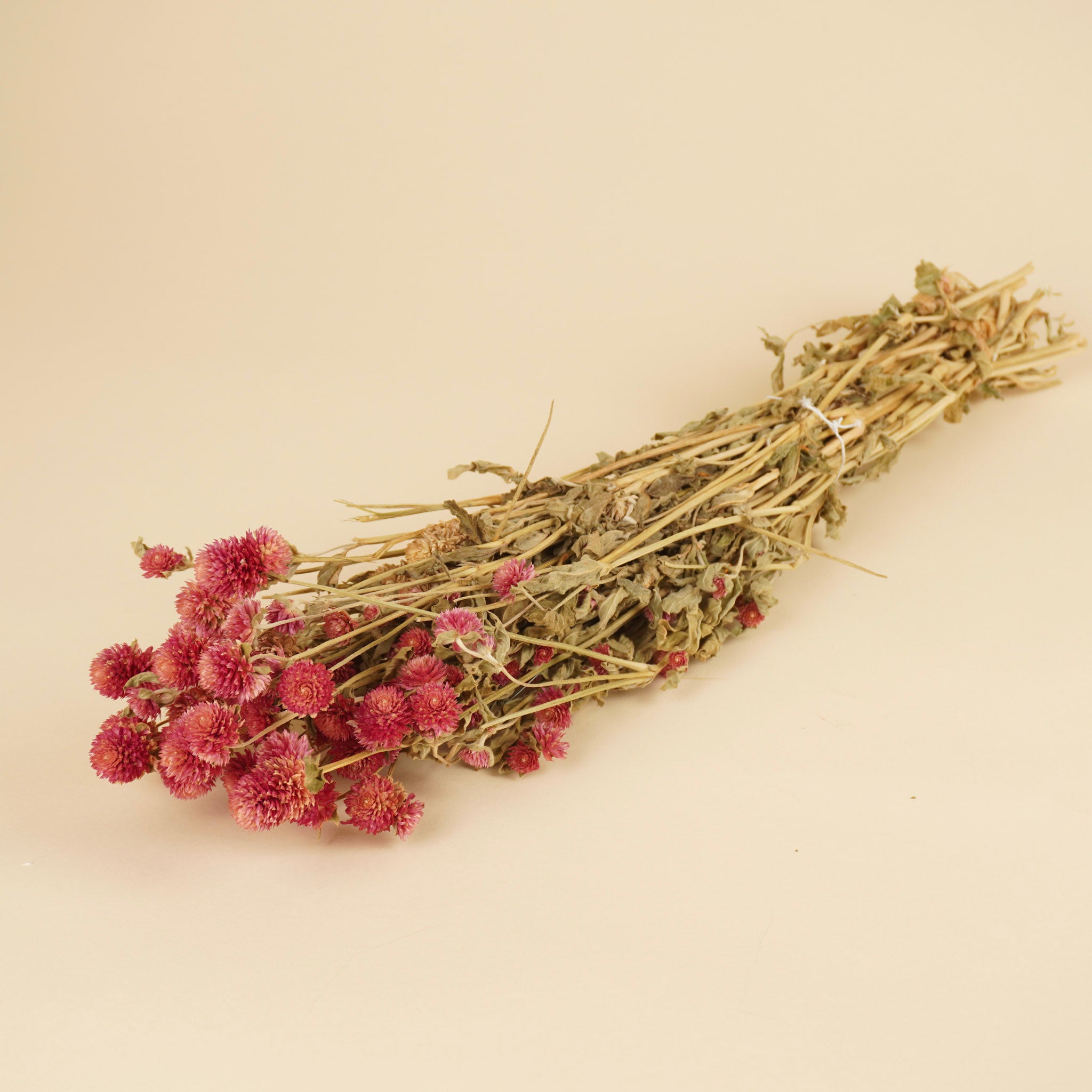 Dried Gomphrena Lila