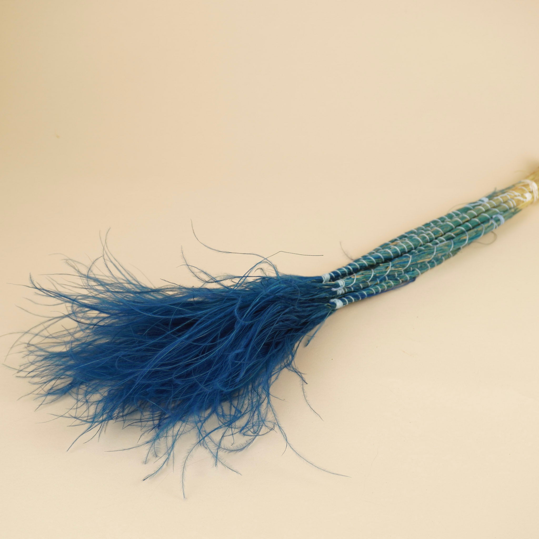 Dried stypa penata light blue