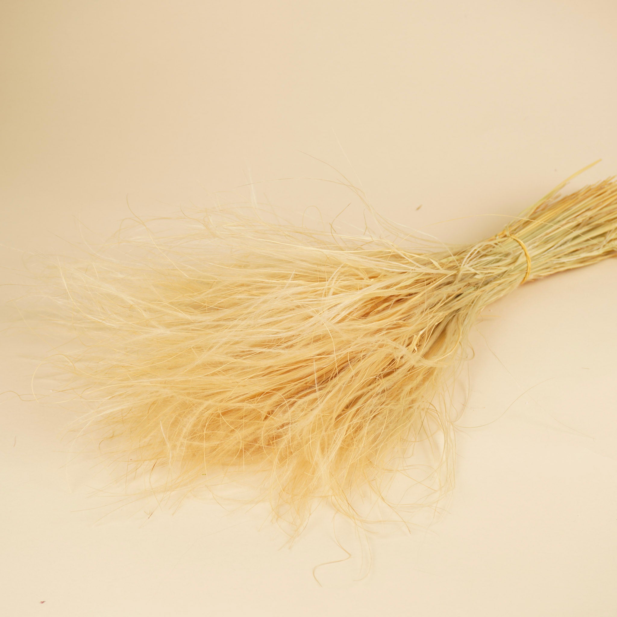 Stypa Penata Naturel